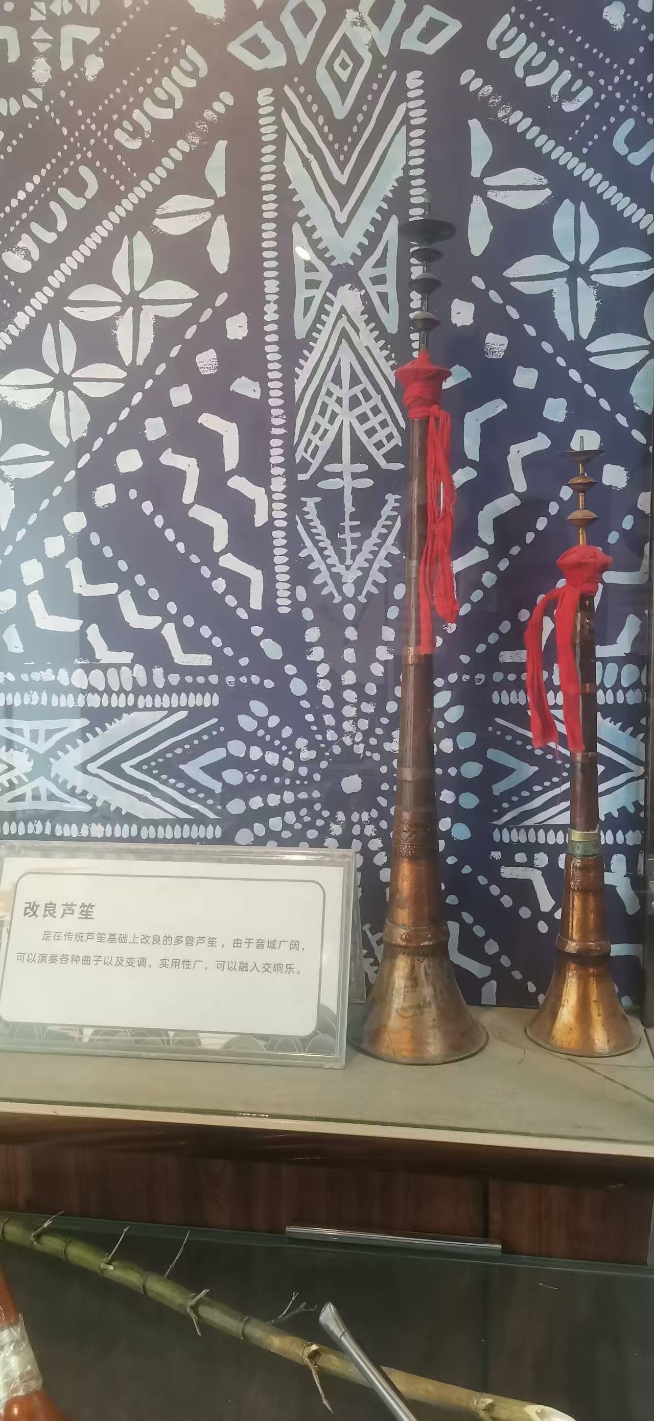 教學入門定制蘆笙